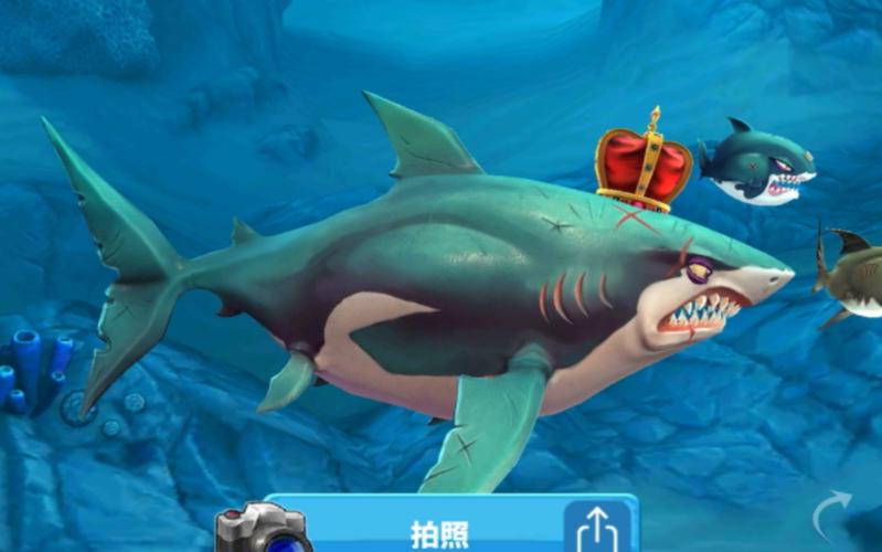 饥饿的鲨鱼破解版游戏（饥饿的鲨鱼2020年最新版本破解版）